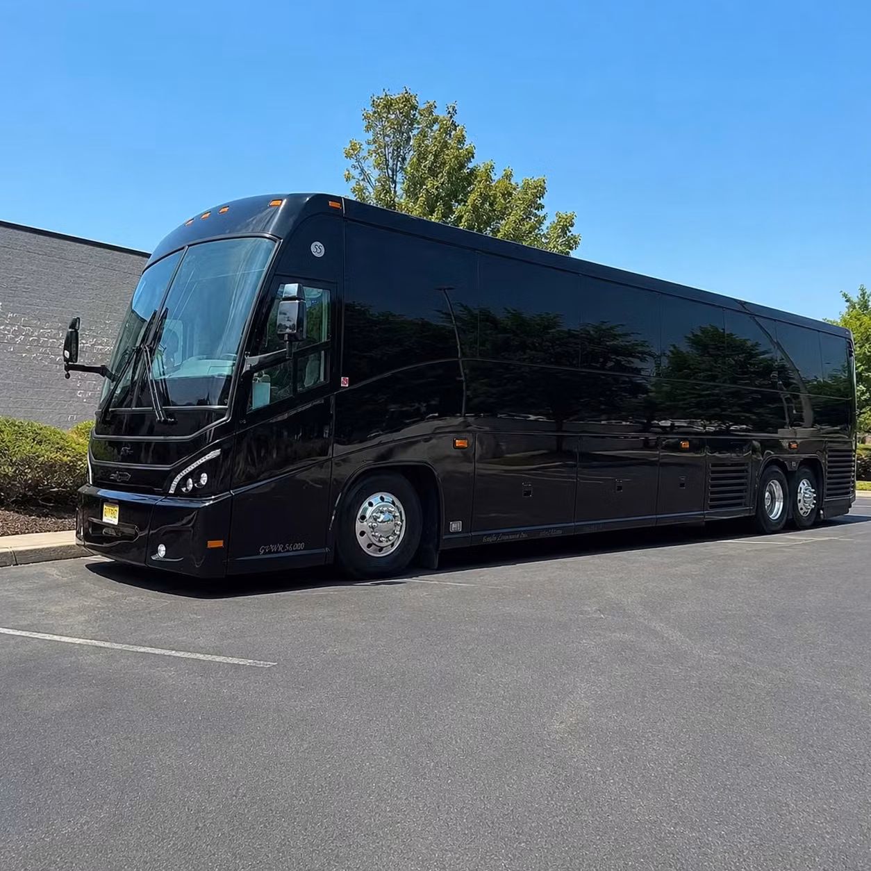 veteran organization and honor flight transportation in the sterling heights area